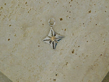 Load image into Gallery viewer, Four Point Star Sterling Silver and Rose Gold Charm