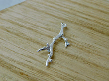 Load image into Gallery viewer, Seaweed Sterling Silver Charm
